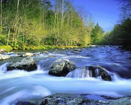 Kocevska